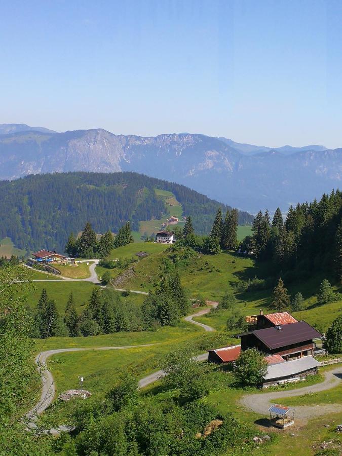 Almhuette Andrea Villa Wildschoenau Exterior photo